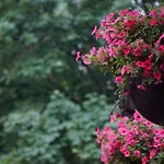 Bed & Breakfast Wlodary Tennis Junior