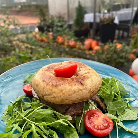 Włodary Tennis Junior Nocleg ze śniadaniem Częstochowa