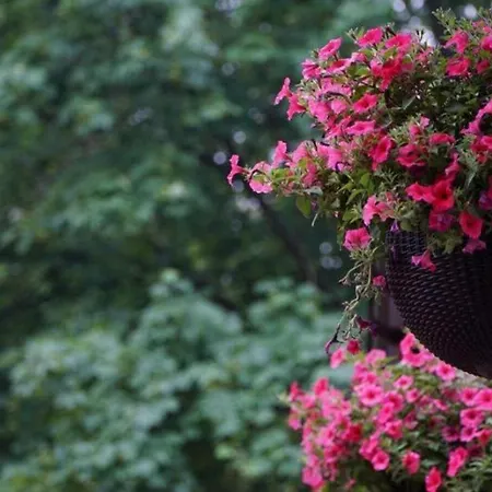 Nocleg ze śniadaniem Włodary Tennis Junior