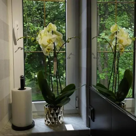 Nocleg ze śniadaniem Włodary Tennis Junior *