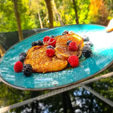 Wlodary Tennis Junior צ'סטוצ'ובה