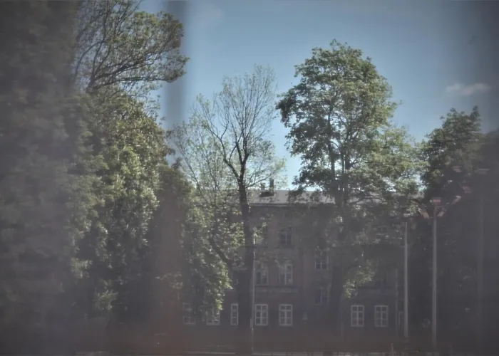 Wlodary Tennis Junior *