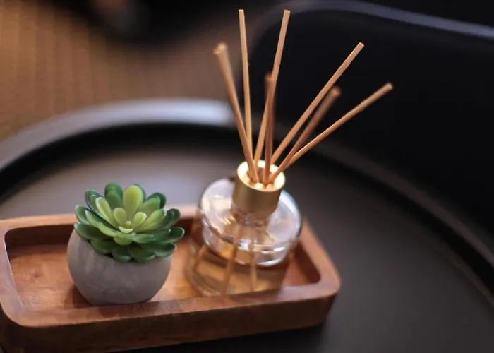 Wlodary Tennis Junior