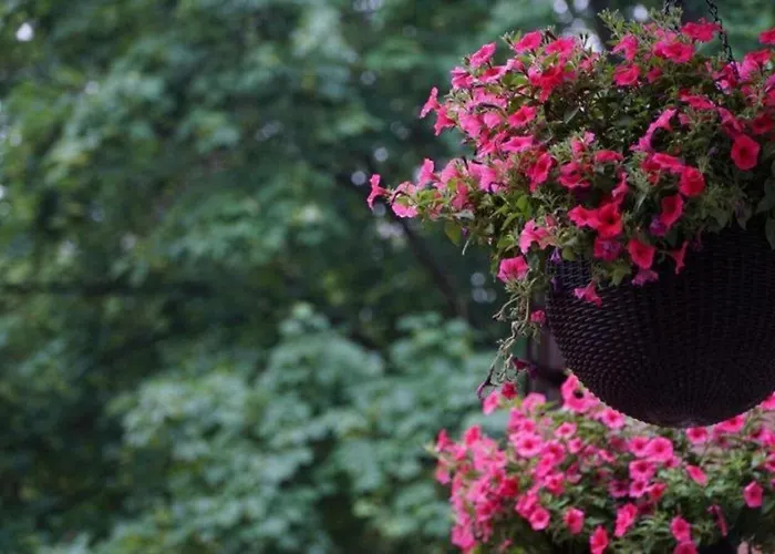 לינה וארוחת בוקר Wlodary Tennis Junior