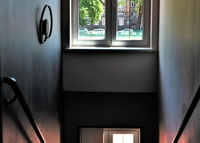 Wlodary Tennis Junior *